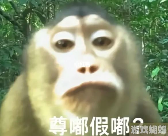 尊嘟假嘟表情包 尊嘟假嘟表情包图片分享 尊嘟假嘟表情包 尊嘟假嘟表情包图片分享