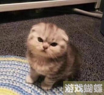 尊嘟假嘟表情包 尊嘟假嘟表情包图片分享 尊嘟假嘟表情包 尊嘟假嘟表情包图片分享