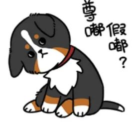 尊嘟假嘟表情包 尊嘟假嘟表情包图片分享 尊嘟假嘟表情包 尊嘟假嘟表情包图片分享