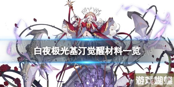 白夜极光基汀觉醒材料一览 白夜极光基汀觉醒要什么材料