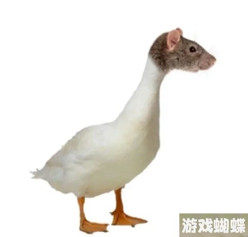 指鼠为鸭是哪个学校 指鼠为鸭是哪所大学的