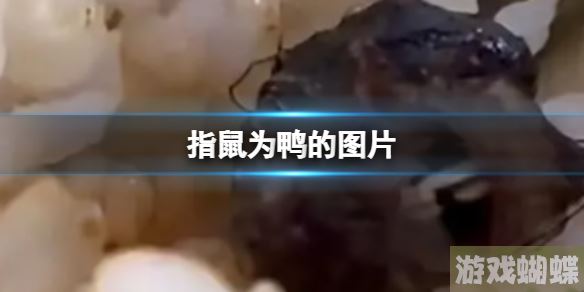 指鼠为鸭的图片 指鼠为鸭表情包图片分享