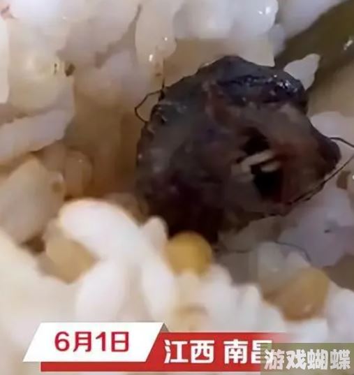 指鼠为鸭的图片 指鼠为鸭表情包图片分享