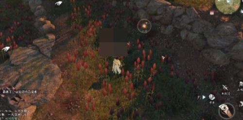 逆水寒手游雪色凶光录1怎么做