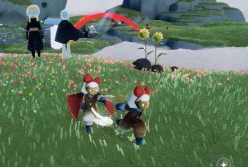 光遇有友向日葵在哪