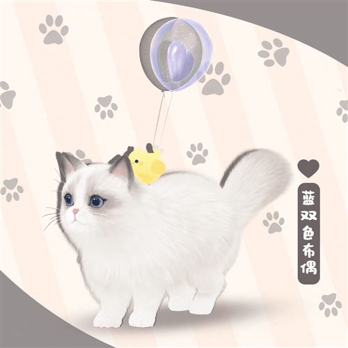 《绝对演绎》沉浸式养猫互动玩法上线 《绝对演绎》沉浸式养猫互动玩法上线