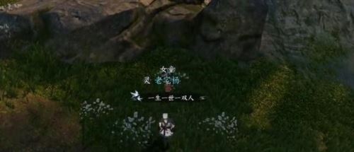 逆水寒手游童心寻趣奇遇任务怎么做 逆水寒手游童心寻趣奇遇任务怎么做