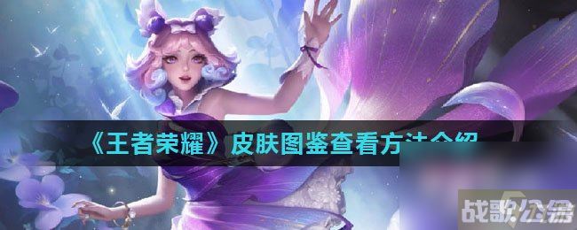 《王者荣耀》皮肤图鉴查看方法介绍,王者荣耀资讯