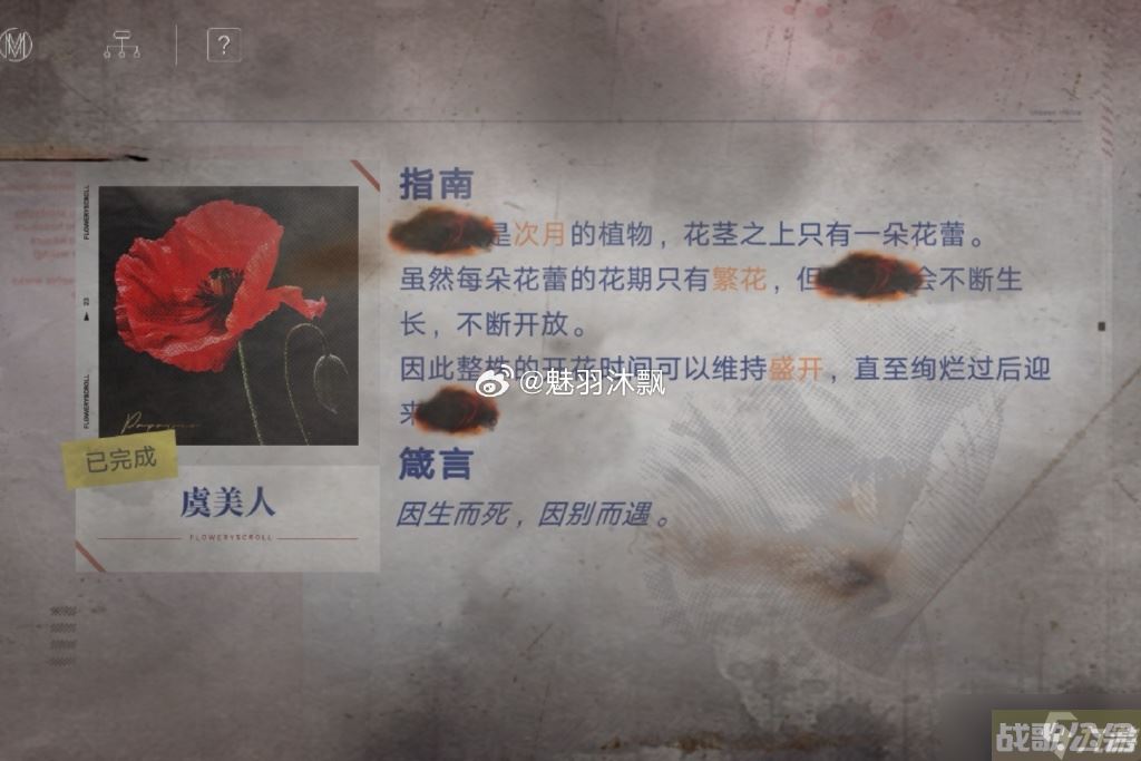 无期迷途花笺解密,无期迷途资讯