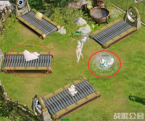 命运方舟领地玩法介绍-明日方舟命运2攻略分享