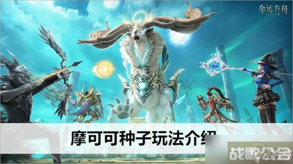 命运方舟摩可可种子玩法介绍,命运方舟资讯
