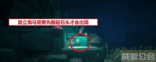 潜水员戴夫海马位置大全 -马代潜水关卡攻略