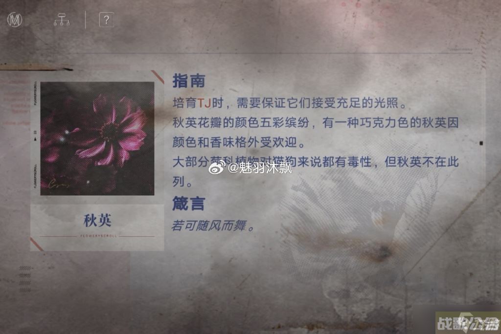 无期迷途花笺解密,无期迷途资讯