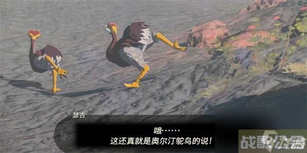 塞尔达传说王国之泪奥尔汀鸵鸟的布料获取方法 奥尔汀鸵鸟的布料获取方法,王国之泪资讯