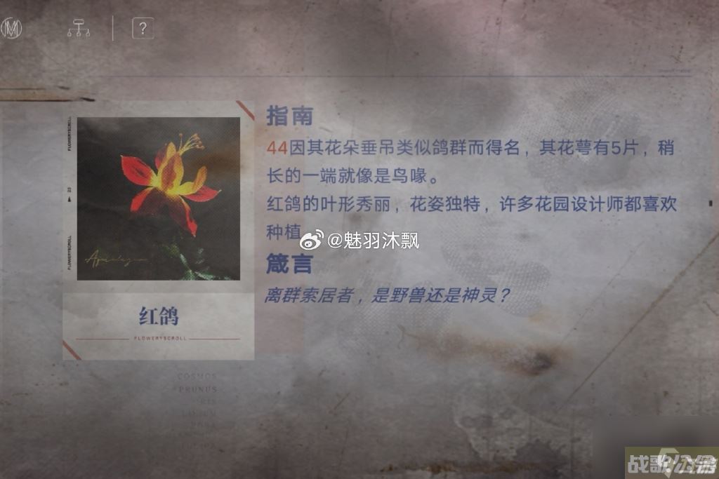 无期迷途花笺密文 无期迷途花笺解密,无期迷途资讯