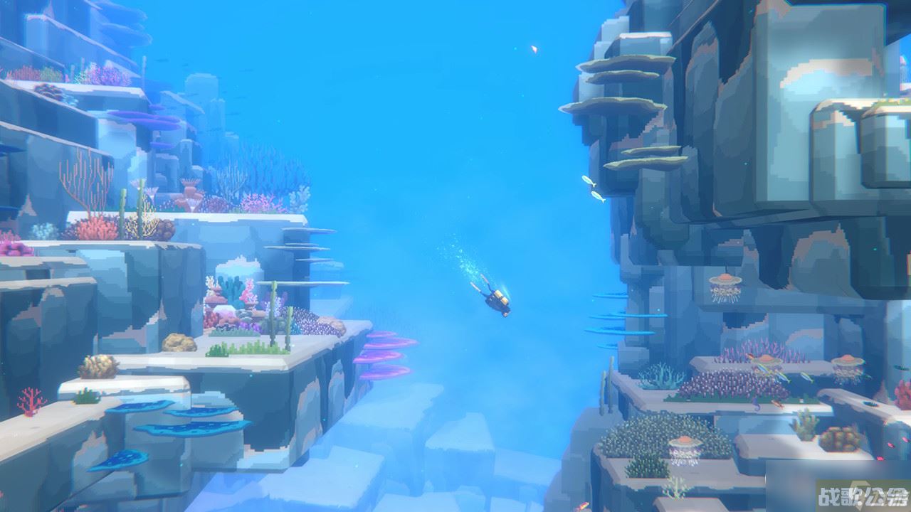 《潜水员戴夫》越过石堆主线任务完成方法,潜水员戴夫资讯