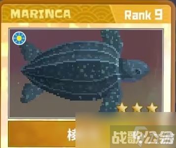 潜水员戴夫采藻人兹奇的宠物名字详情,潜水员戴夫资讯