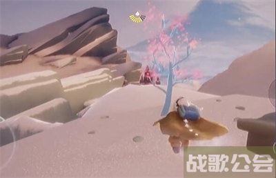 光遇霞谷赏花位置介绍 -光遇霞谷赏花地点在哪推荐玩法介绍