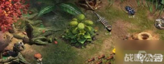 小小蚁国特化蚁技能怎么升 小小蚁国特化蚁技能升星方法,小小蚁国资讯