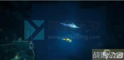 潜水员戴夫洪堡鱿鱼在哪,潜水员戴夫资讯