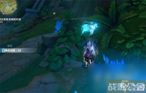 《原神》须弥水下锚点开启方法介绍,原神资讯