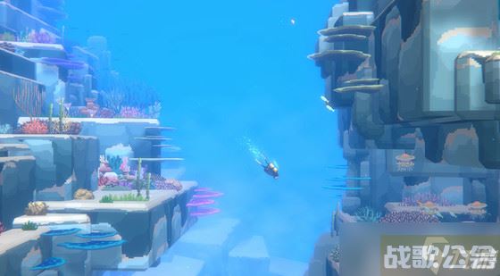 潜水员戴夫大型鲨鱼怎么抓,潜水员戴夫资讯 潜水员戴夫大型鲨鱼怎么抓,潜水员戴夫资讯