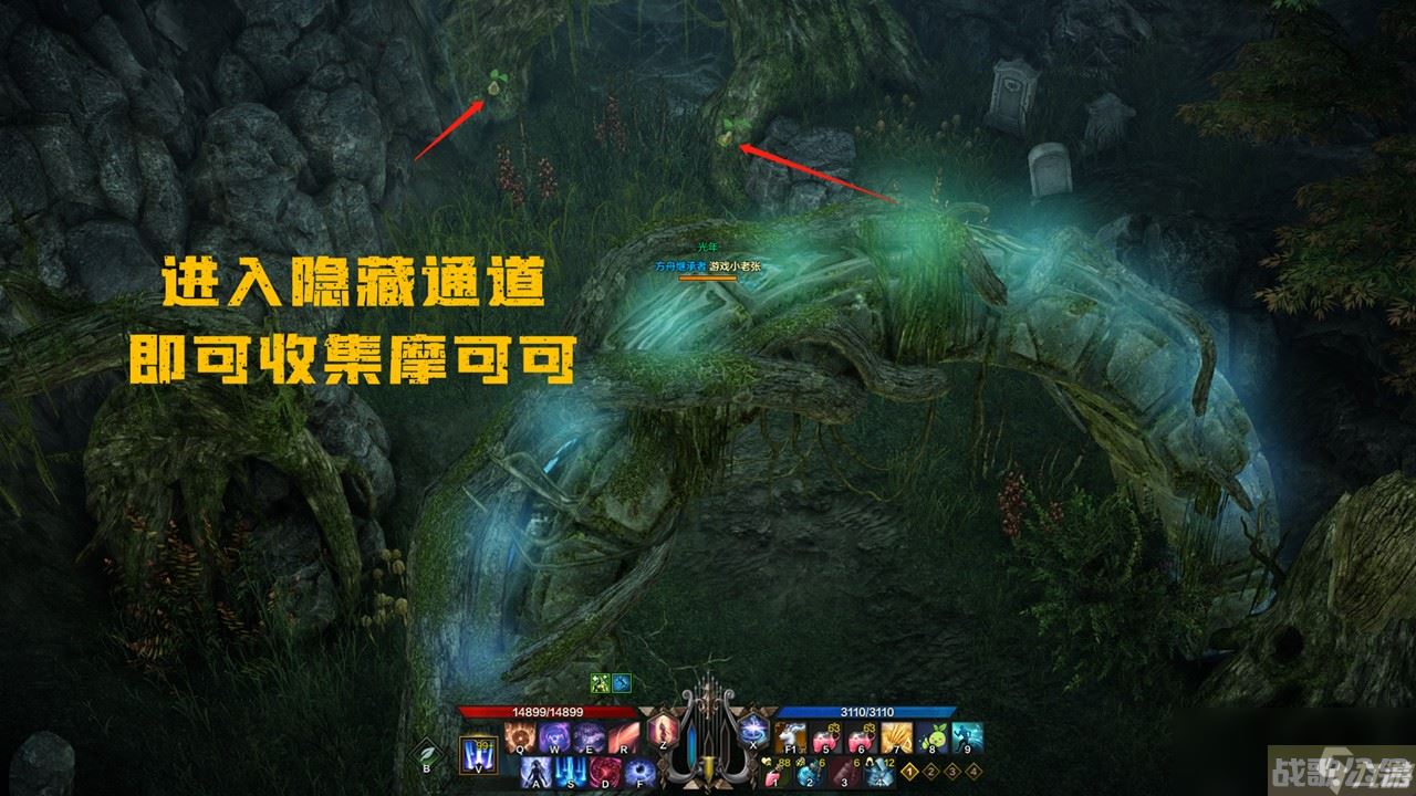 命运方舟摩可可种子多少个,命运方舟资讯