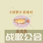 桃源深处有人家朱敬儒喜好是什么,桃源深处有人家资讯