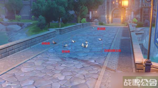 《原神》四方八方之网禽鸟捕捉攻略,原神资讯