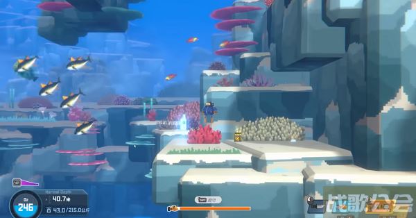 潜水员戴夫金枪鱼怎么抓 -潜水员戴夫金枪鱼怎么抓活的图文攻略