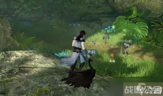 《逆水寒手游》绝崖鹤唳奇遇通关攻略,逆水寒手游资讯