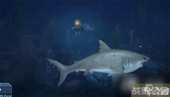 《潜水员戴夫》大白鲨在哪里介绍,潜水员戴夫资讯 《潜水员戴夫》大白鲨在哪里介绍,潜水员戴夫资讯