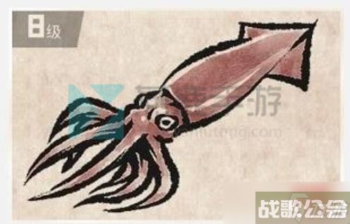 潜水员戴夫洪堡鱿鱼在哪,潜水员戴夫资讯