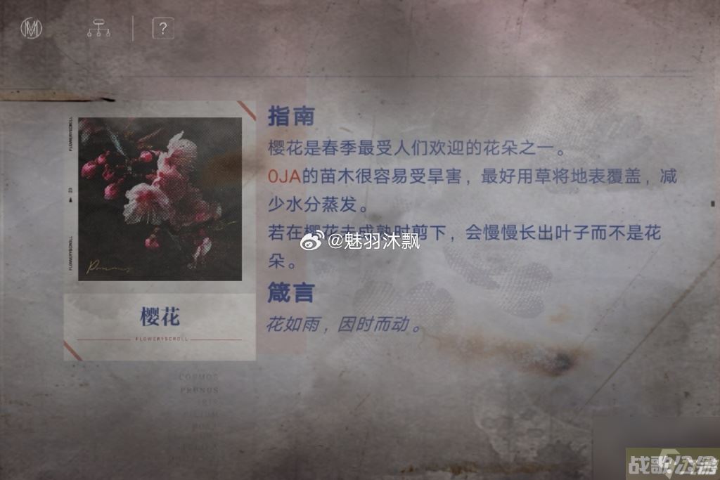 无期迷途花笺密文 无期迷途花笺解密,无期迷途资讯