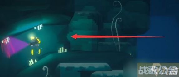 潜水员戴夫羽状珊瑚和莲状珊瑚在哪,潜水员戴夫资讯