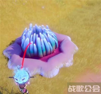 幻塔宝箱怎么开-幻塔宝箱怎么开新手开荒攻略