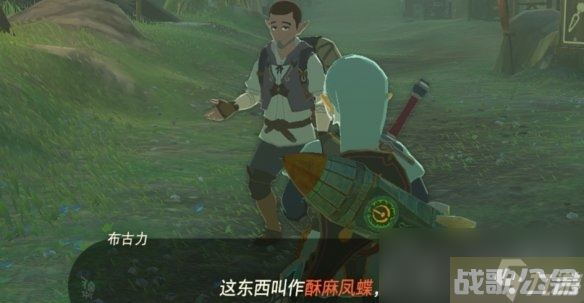 《塞尔达传说王国之泪》远古史诗巡礼任务攻略,王国之泪资讯