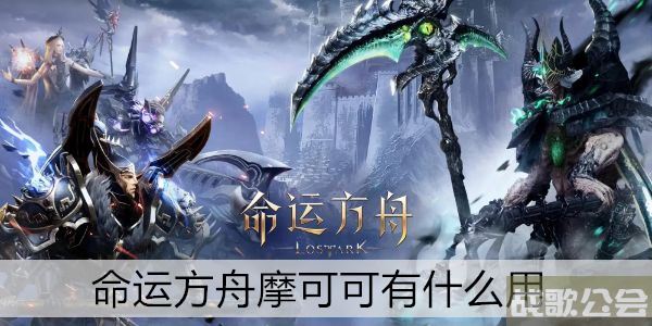 命运方舟摩可可有什么用 -命运方舟摩可可有什么用推荐玩法介绍