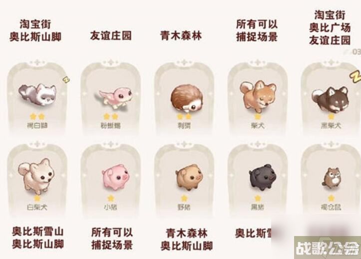 奥比岛宠物在哪里分布图 2023奥比岛宠物在哪里最新介绍,奥比岛梦想国度资讯