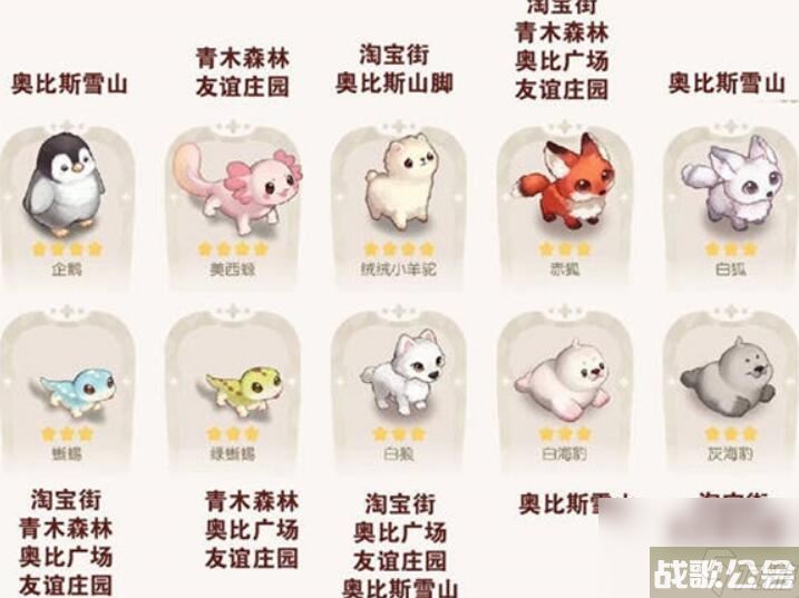 奥比岛宠物在哪里分布图 2023奥比岛宠物在哪里最新介绍,奥比岛梦想国度资讯