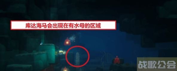 潜水员戴夫海马位置大全 -马代潜水关卡攻略