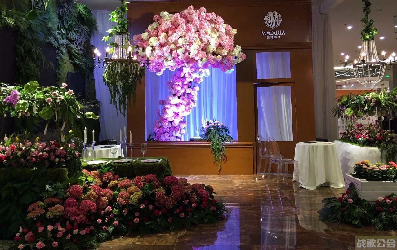 520怦然行动视频(怦然在行动,免费观看)