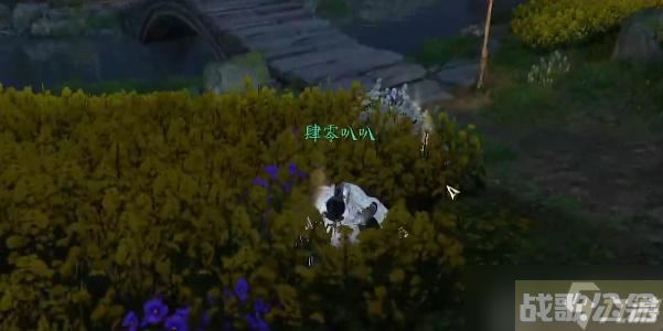 逆水寒一生一世一双人结局攻略,逆水寒手游资讯