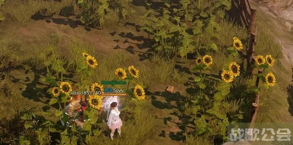 命运方舟卡牌怎么获得-明日方舟 命运2流程攻略