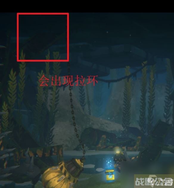 《潜水员戴夫》雀尾螳螂虾获取方法推荐,潜水员戴夫资讯