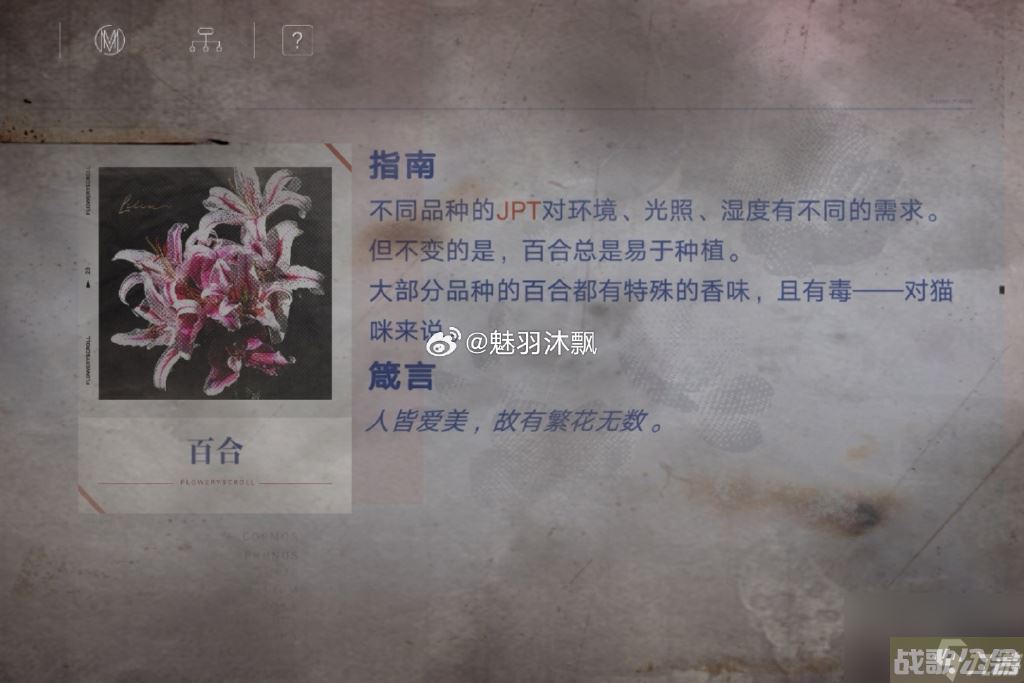 无期迷途花笺密文 无期迷途花笺解密,无期迷途资讯
