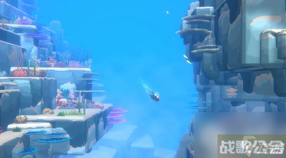 潜水员戴夫大型鲨鱼捕捉方法,潜水员戴夫资讯 潜水员戴夫大型鲨鱼捕捉方法,潜水员戴夫资讯