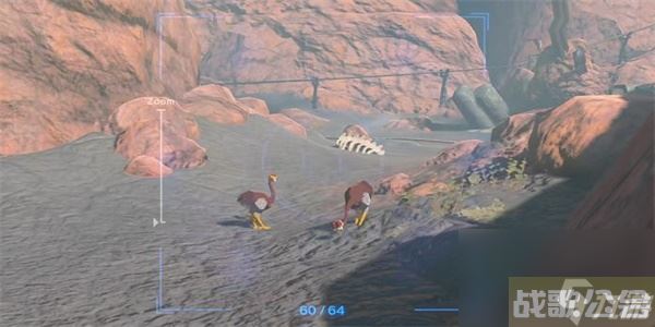 塞尔达传说王国之泪奥尔汀鸵鸟的布料获取方法 奥尔汀鸵鸟的布料获取方法,王国之泪资讯