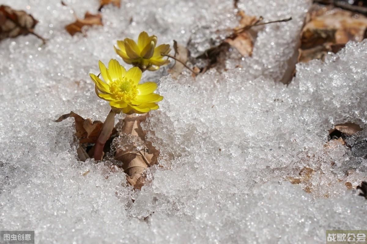 饥荒新家园蓝蘑菇怎么获取 蓝蘑菇哪里最多介绍