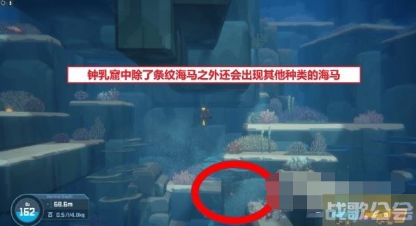 潜水员戴夫海马位置大全 -马代潜水关卡攻略